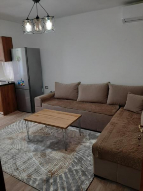 Viola's Apartment